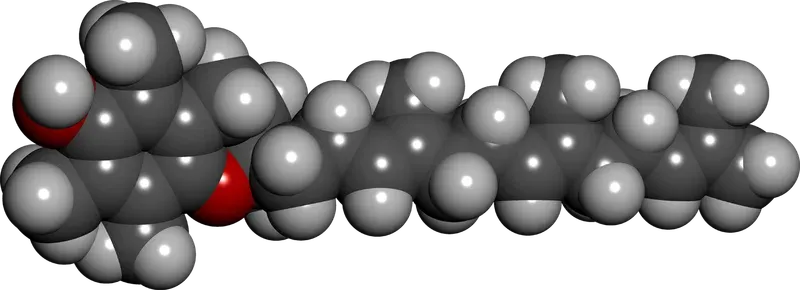 3D space-filling molecular model of alpha-tocotrienol showing the planar chromanol ring head and the elongated unsaturated tail