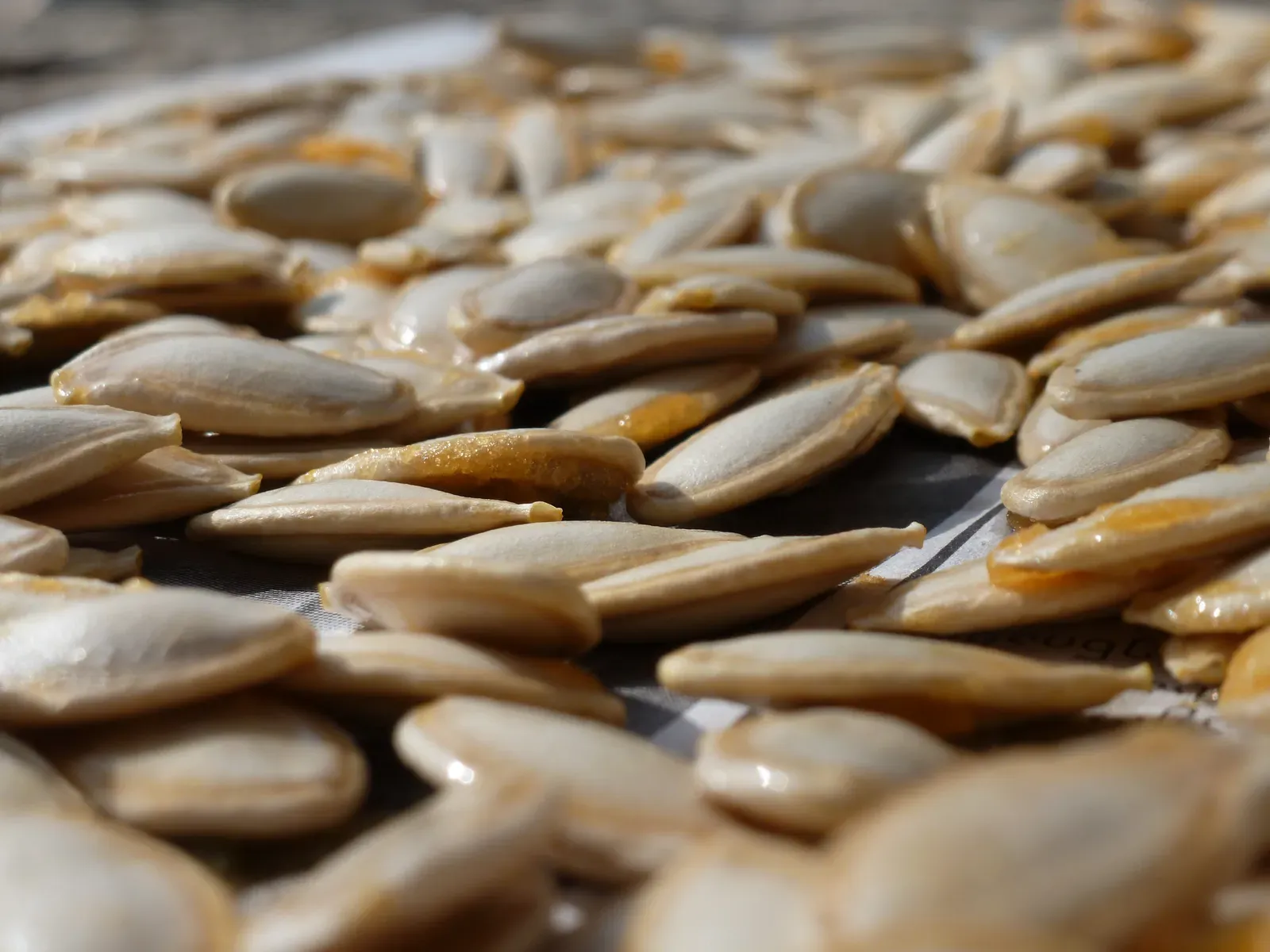 Close-up of raw pumpkin seeds (Cucurbita pepo) — the source material for cold-pressed PSO used in clinical trials